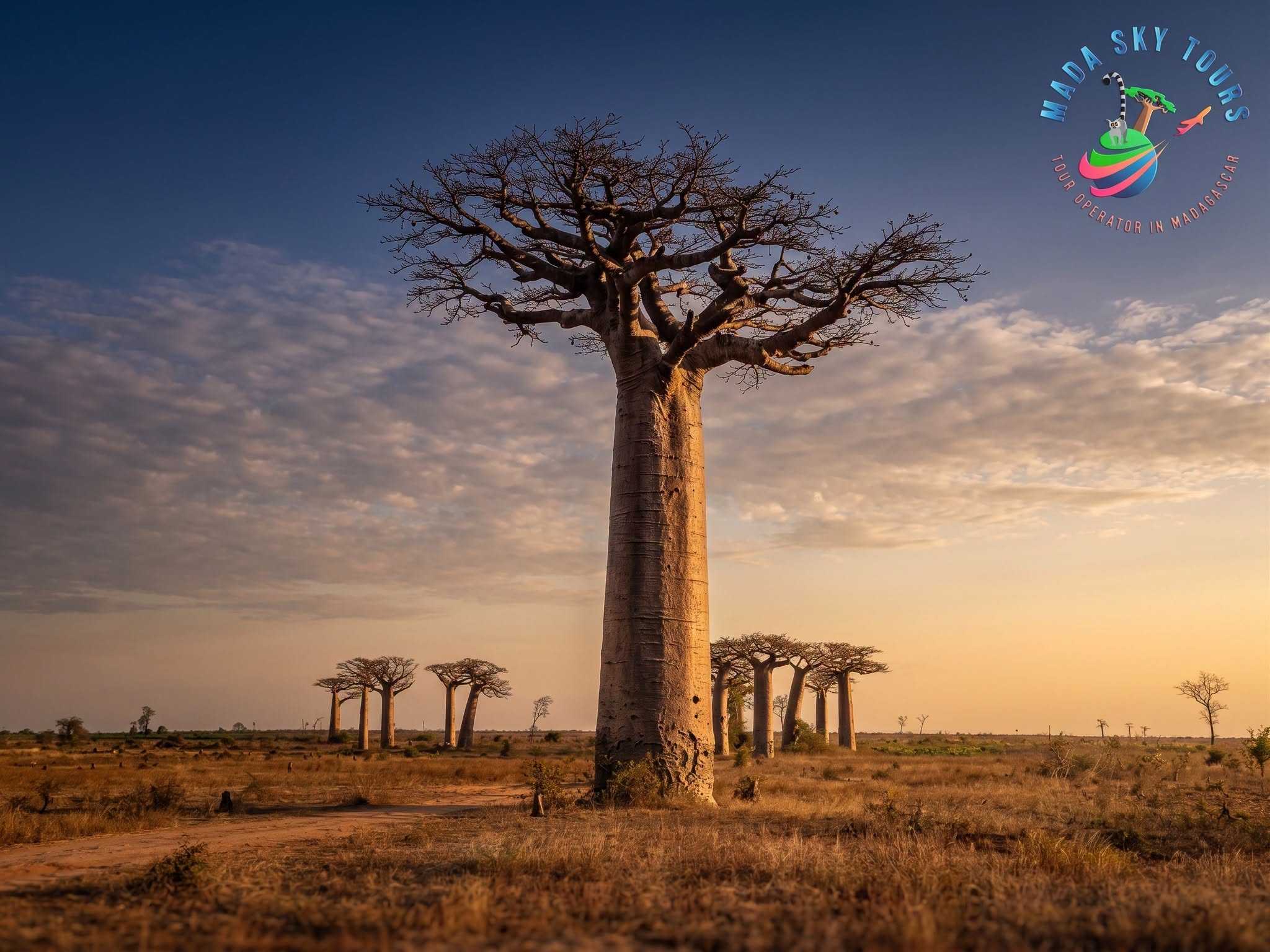 À la découverte de Morondava : baobabs, culture et paysages de l’ouest
