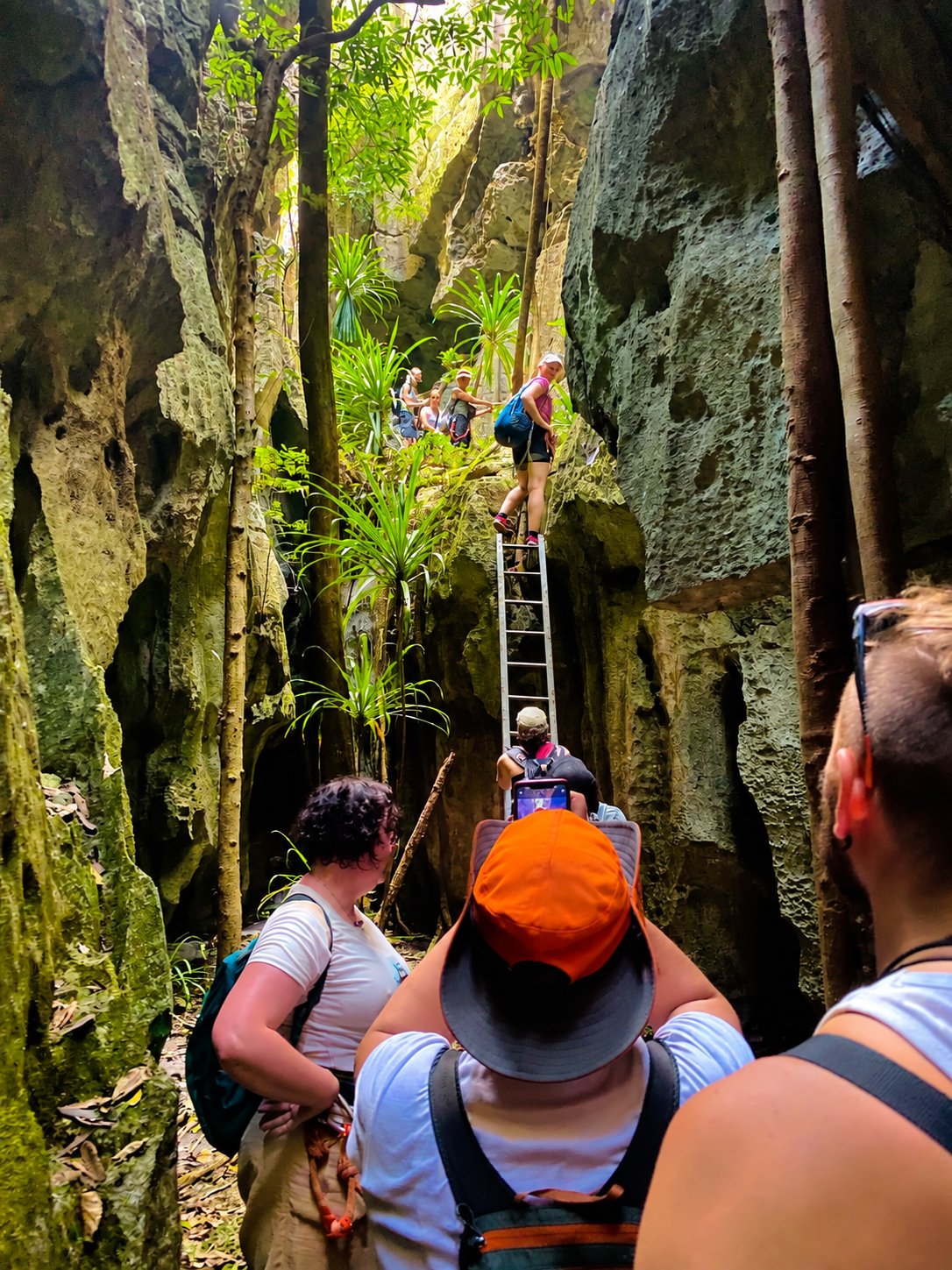 Grottes d’Ankarana