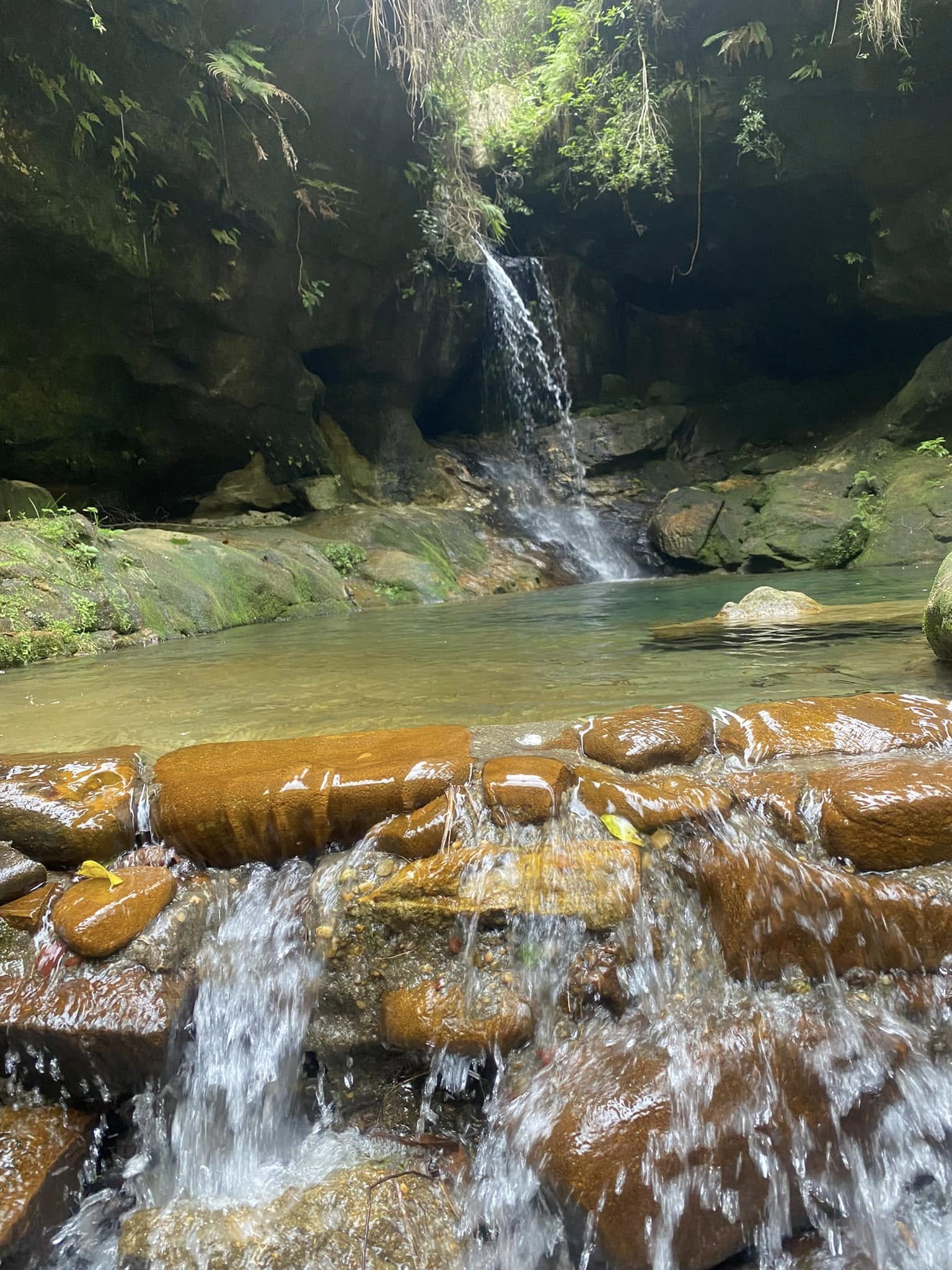Piscines naturelles