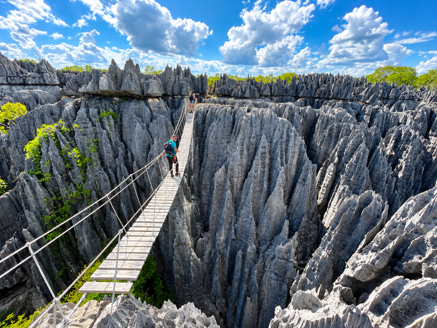 Tsingy de Bemaraha