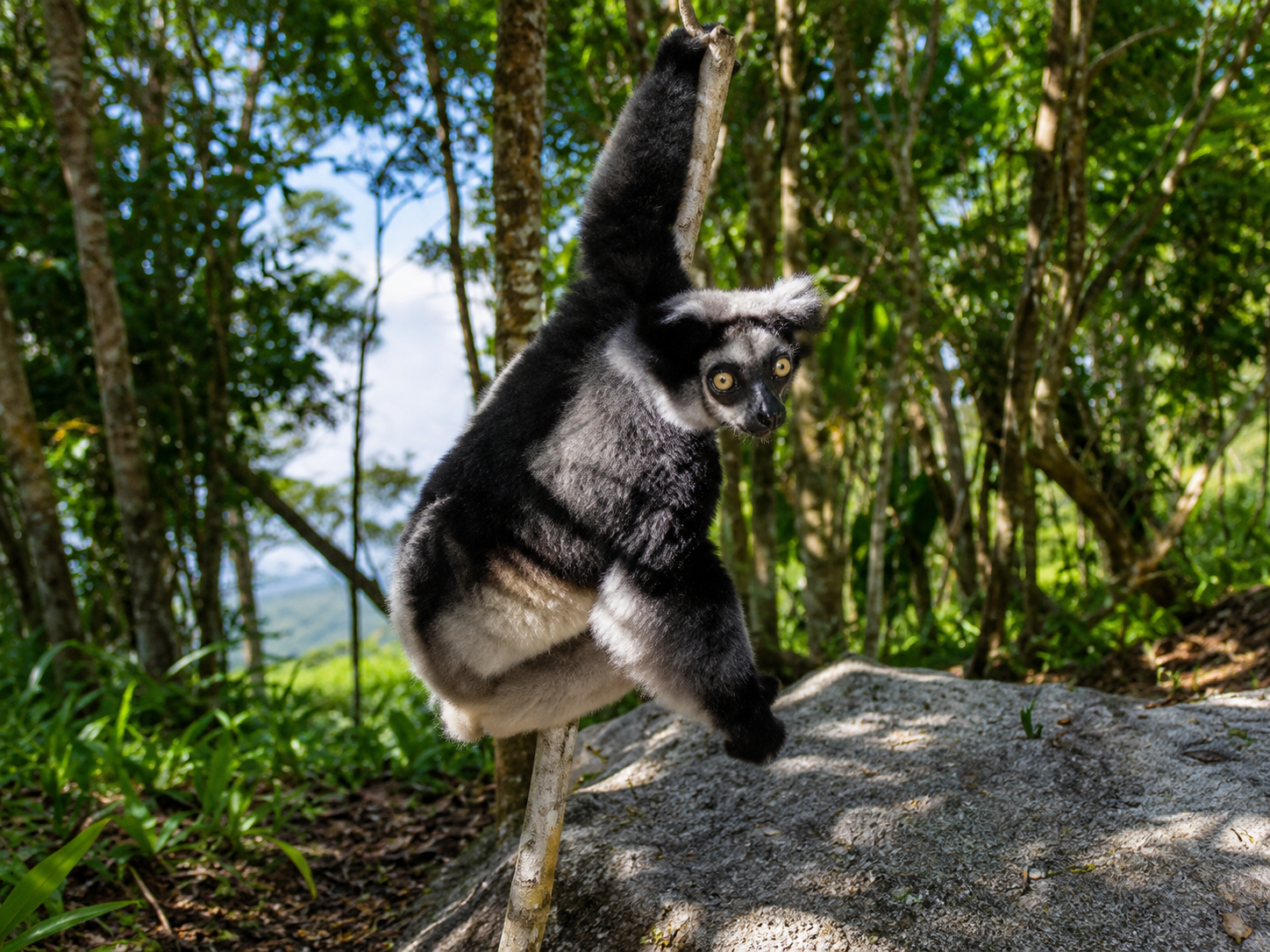 Paysages naturels de Madagascar