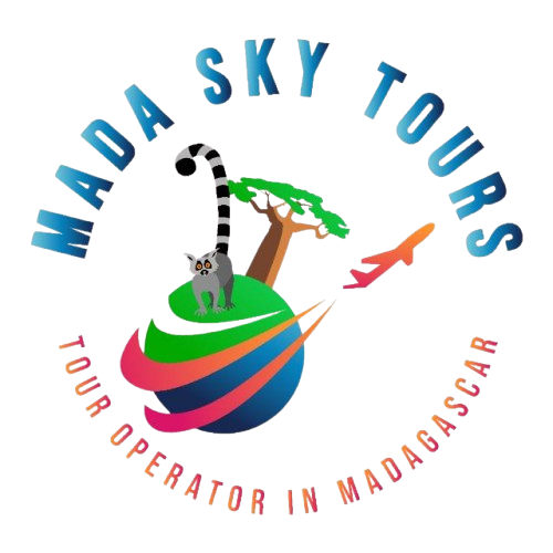 logo removebg preview