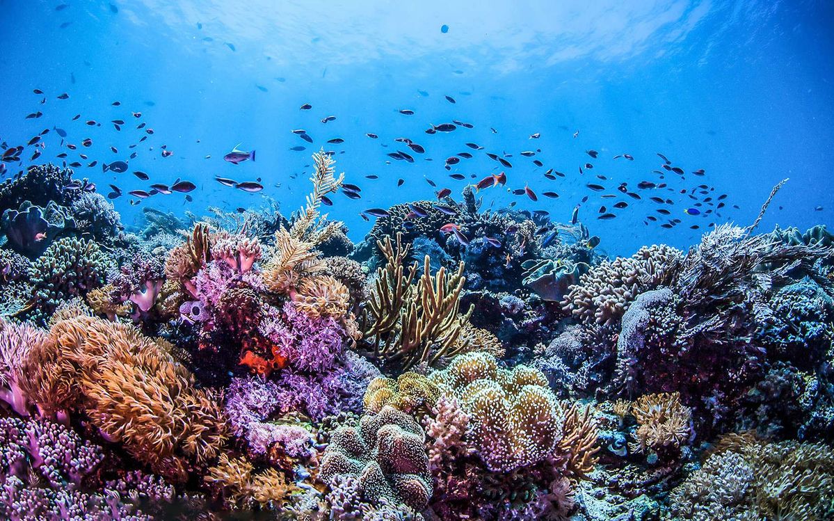 43fbef519136f977cda833d84079dcd8