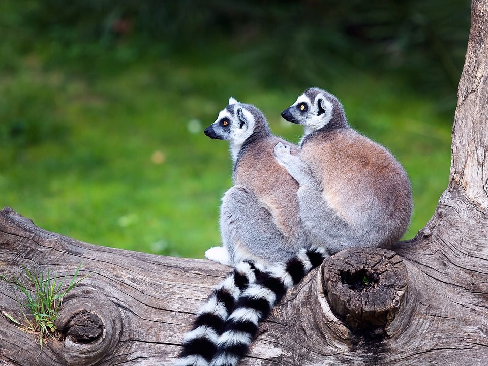 9152d333d446e48d349535e95fce1b22