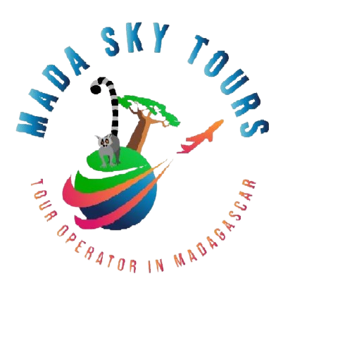 logo removebg preview(1)