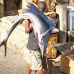 363b7d8adcf675bfefb50151ddfb0b04