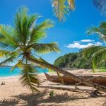 3e0a4260b4617ba3d2741a8202e7bde9