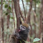 530059530_3339249892888693_8676567027300088378_n