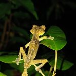 549829210_780416721369697_6532526207099816886_n