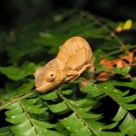 551908353_780416948036341_7151861500784905051_n