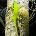 552013620_780416884703014_8639319542414800701_n