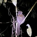 552541961_780416824703020_3251506649233754920_n