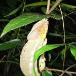 552654016_780416758036360_3896284740265979120_n