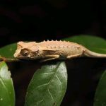 553080482_780416618036374_5631349215934164566_n