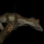 554182516_780416504703052_1687959589112915151_n