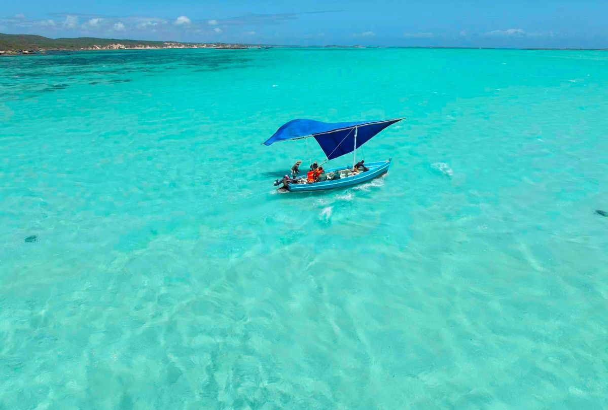 882afcebb064ee0d10aa031647694428