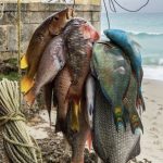 975d13db2ab9a58099432e5a6c8c3c38