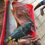 bd8e615e9ec52fdfd0987dfdb605703f